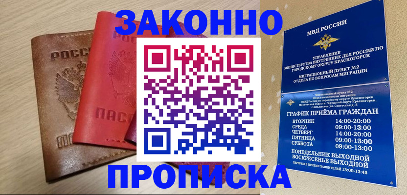 временная регистрация собственник в Фрязино